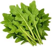 Hyponorm — estratto di rucola